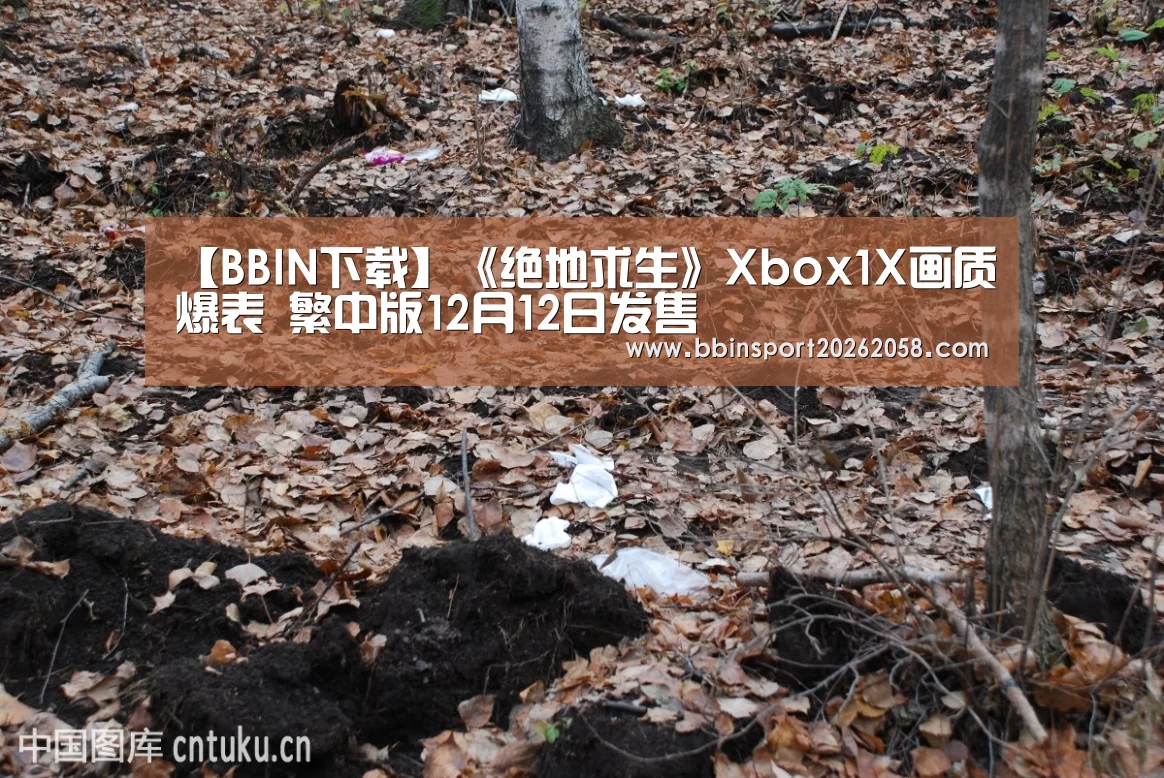 【BBIN下载】《绝地求生》Xbox1X画质爆表 繁中版12月12日发售(图2) BBIN下载