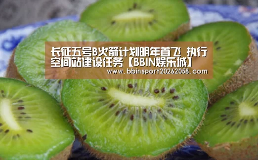 长征五号B火箭计划明年首飞 执行空间站建设任务【BBIN娱乐城】(图3) BBIN直播