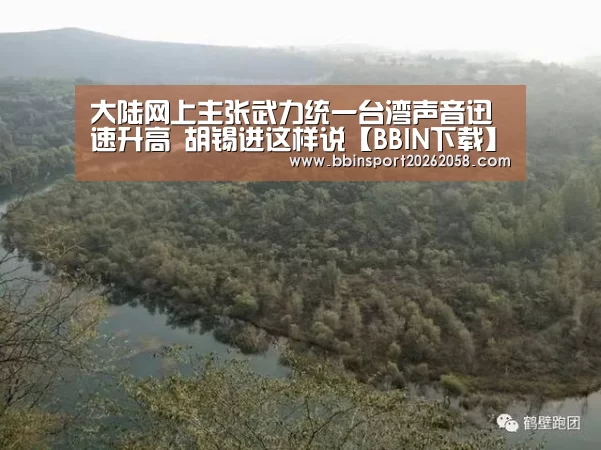 大陆网上主张武力统一台湾声音迅速升高 胡锡进这样说【BBIN下载】(图2) BBIN登录