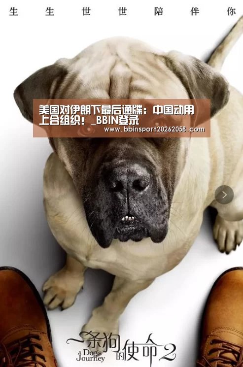 美国对伊朗下最后通牒:中国动用上合组织!_BBIN登录(图2) BBIN下载
