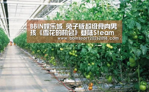 BBIN娱乐城_兔子版超级食肉男孩《雪花的机会》登陆Steam(图2) BBIN登录