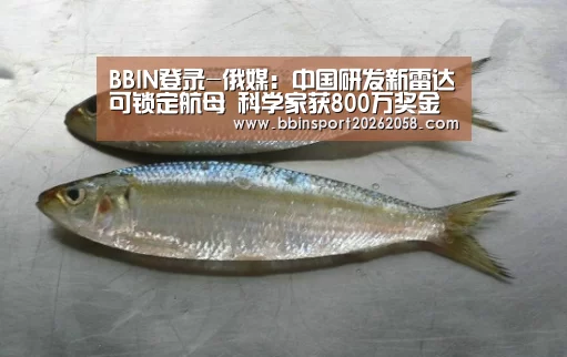 BBIN登录-俄媒:中国研发新雷达可锁定航母 科学家获800万奖金(图1) BBIN直播