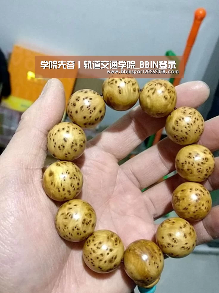 学院先容丨轨道交通学院_BBIN登录(图2) BBIN下载