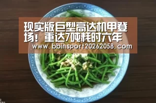 现实版巨型高达机甲登场!重达7吨耗时六年打造‘BBIN娱乐城’(图2) BBIN直播
