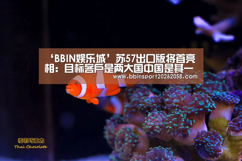 ‘BBIN娱乐城’苏57出口版将首亮相:目标客户是两大国中国是其一(图3) BBIN下载