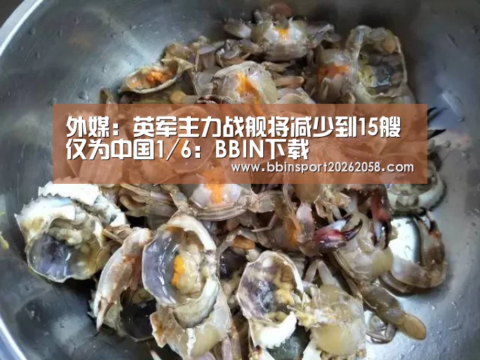 外媒:英军主力战舰将减少到15艘 仅为中国1/6:BBIN下载(图1) BBIN娱乐城