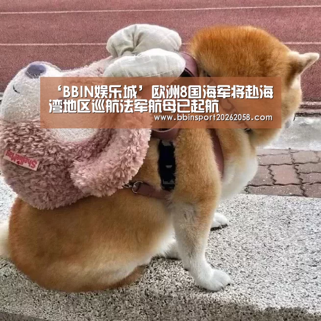 ‘BBIN娱乐城’欧洲8国海军将赴海湾地区巡航法军航母已起航(图2) BBIN娱乐城