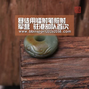 暴徒用镭射笔照射军营 驻港部队首次亮黄旗“警告”_BBIN娱乐城(图1) BBIN登录