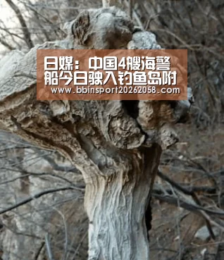 日媒:中国4艘海警船今日驶入钓鱼岛附近海域航行【BBIN登录】(图2) BBIN直播